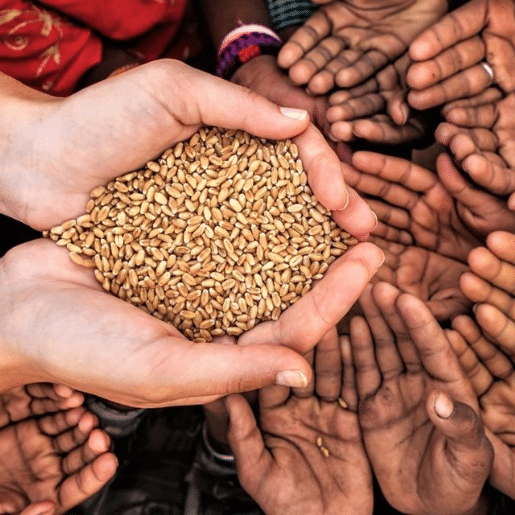 Website For NGO